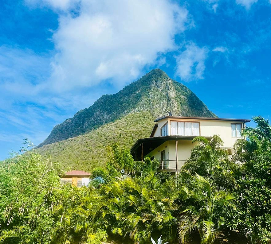 Designed for Serenity, Inspired by Nature Designed for Serenity, Inspired by Nature