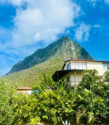 Designed for Serenity, Inspired by Nature Designed for Serenity, Inspired by Nature